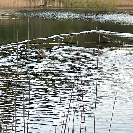 Korsholt-natur 135 G Sindal