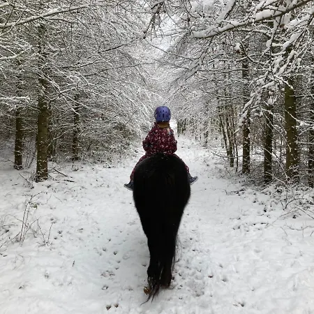 Appartement Korsholt-natur 135 G