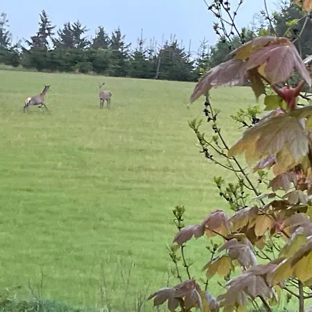 Korsholt-natur 135 G Appartement