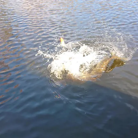 Korsholt-natur 135 G Appartement